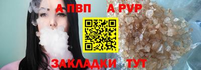 сатива Кингисепп