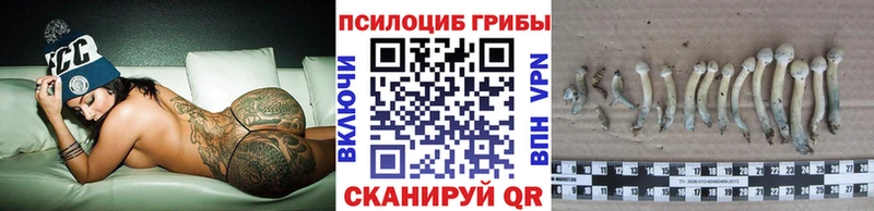 Галлюциногенные грибы Psilocybine cubensis  гидра   Тверь 